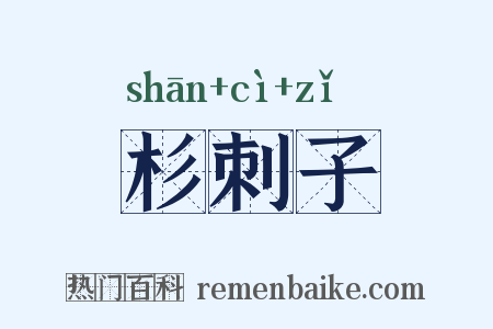 杉刺子是什么意思的图片